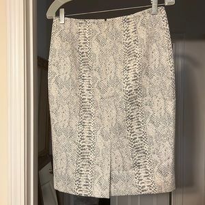 Ann Taylor skirt